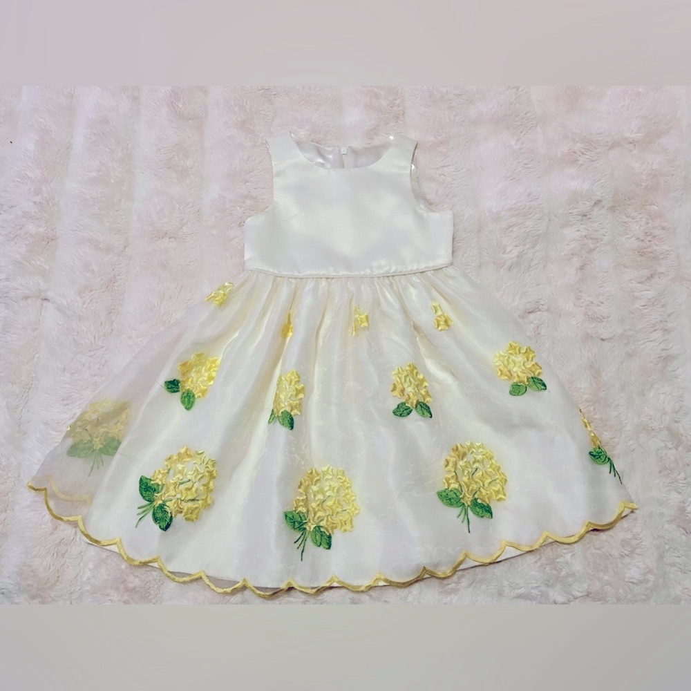 Beautiful American princess dress 👗